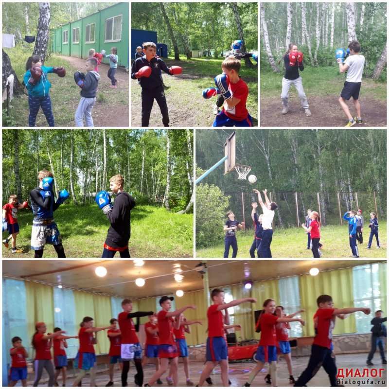 Спортивно-оздоровительный лагерь "Росинка"