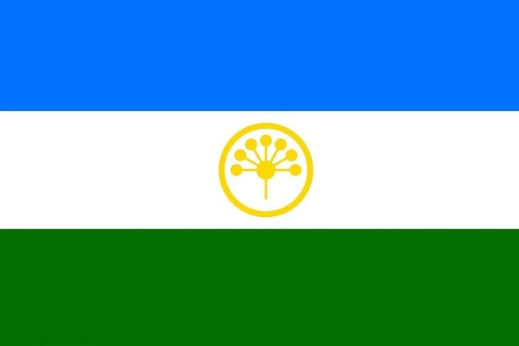 25 февраля отмечается День Государственного флага Республики Башкортостан